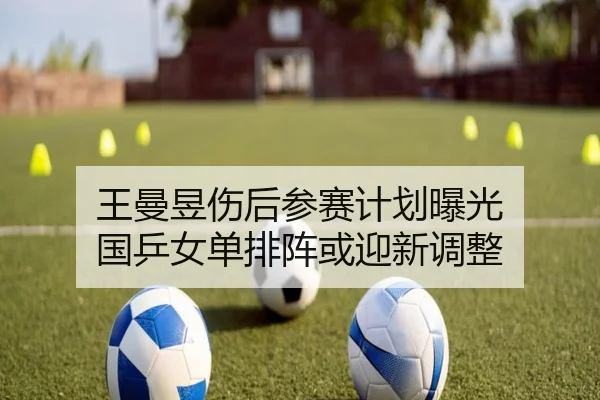 王曼昱伤后参赛计划曝光 国乒女单排阵或迎新调整